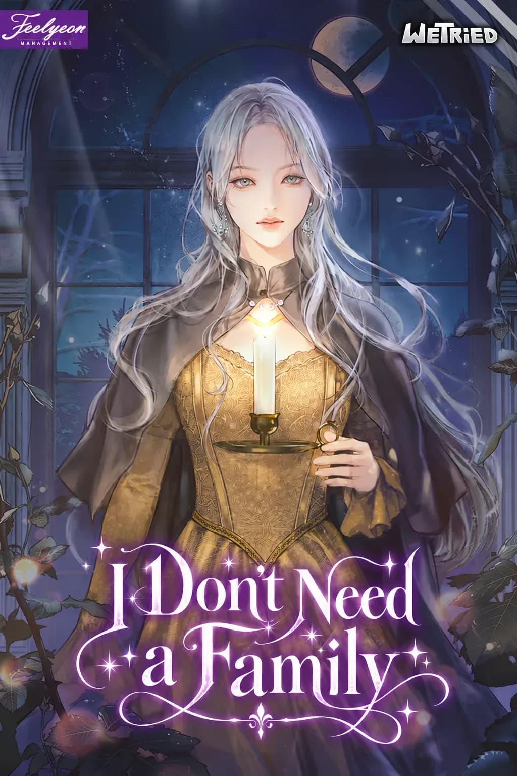 Couverture de I Don't Need a Family