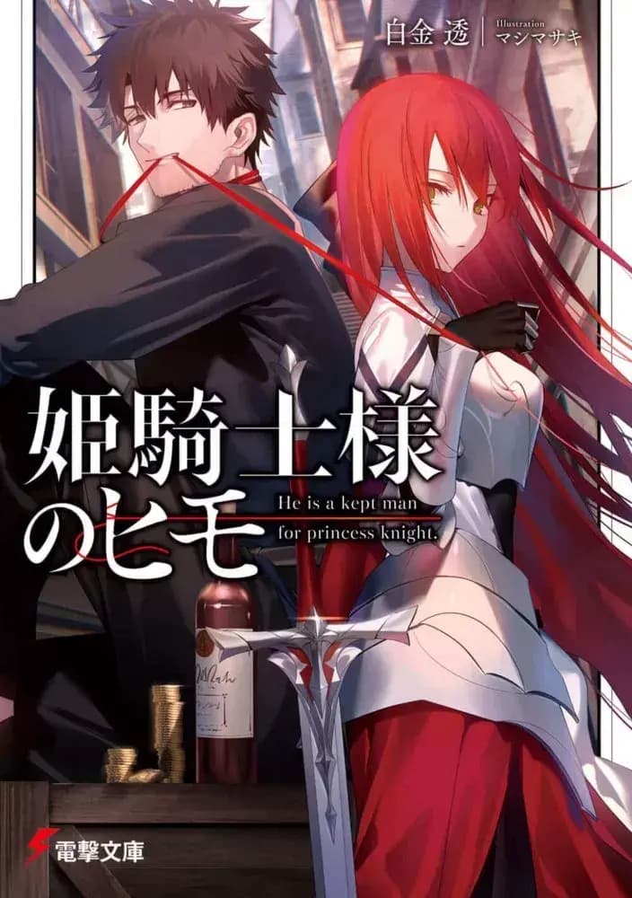 Couverture de The Kept Man of the Princess Knight