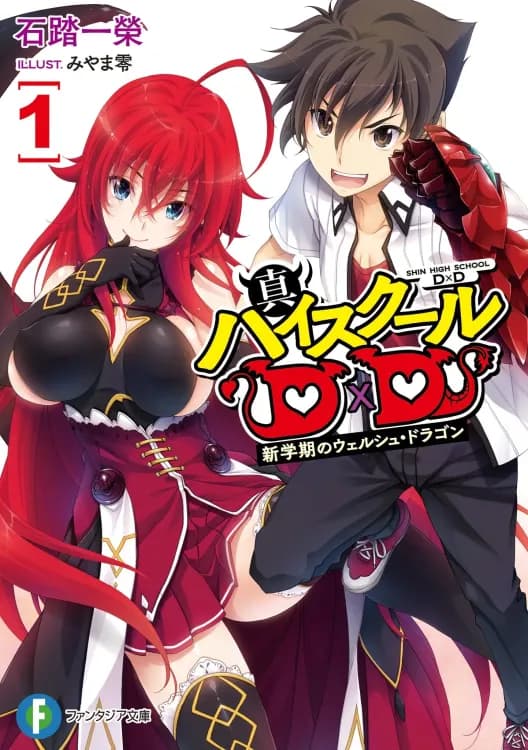 Couverture de Shin High School DxD — traduit par Novel de l'Aube
