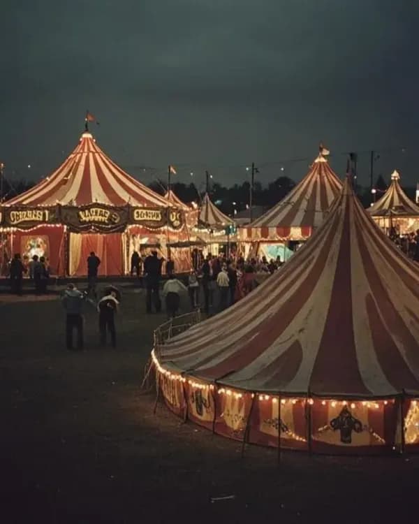 Couverture de Le cirque des merveilles ! — traduit par NovelFrance