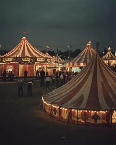 Le cirque des merveilles !