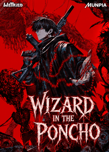 Wizard in the Poncho