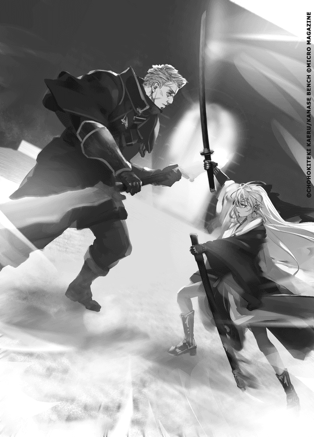 Couverture de Witch and Mercenary — Light novel par Chohokiteki Kaeru