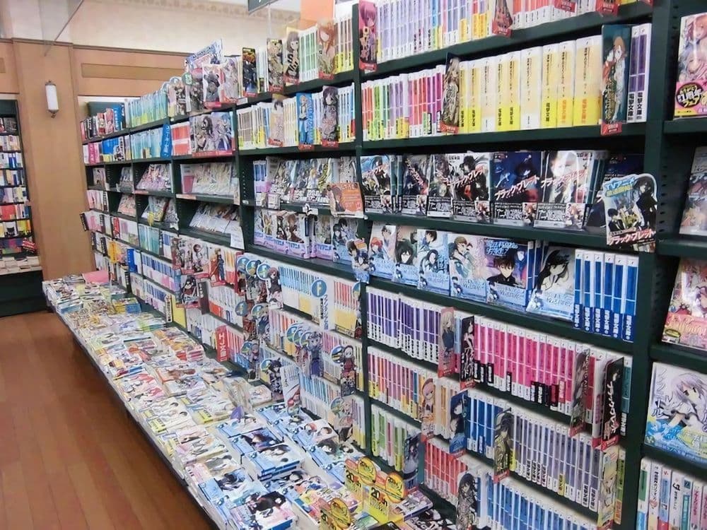 C'est quoi un Light Novel ?