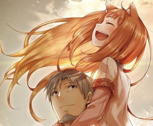 Les raisons de la difficulté d'expansion des Light Novels en France