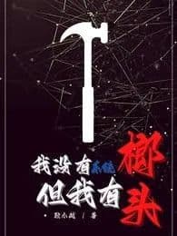 Couverture de I don't have a system but I have a hammer