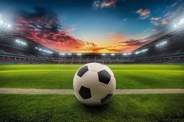 Couverture de Le coach au 100 attributs