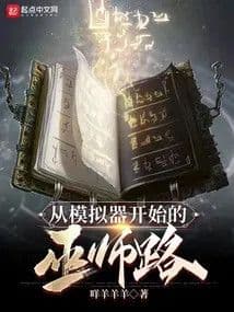 Couverture de The Wizard's Life Simulator