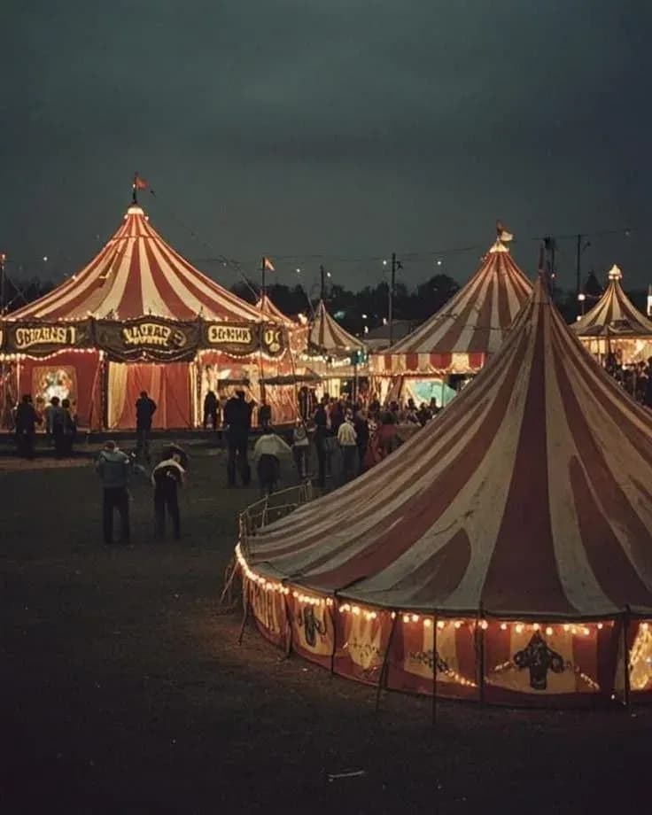 Couverture de Le cirque des merveilles ! — roman Psychologique traduit en français