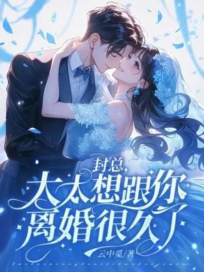 President Feng, Your Wife Has Long Decided to Divorce You