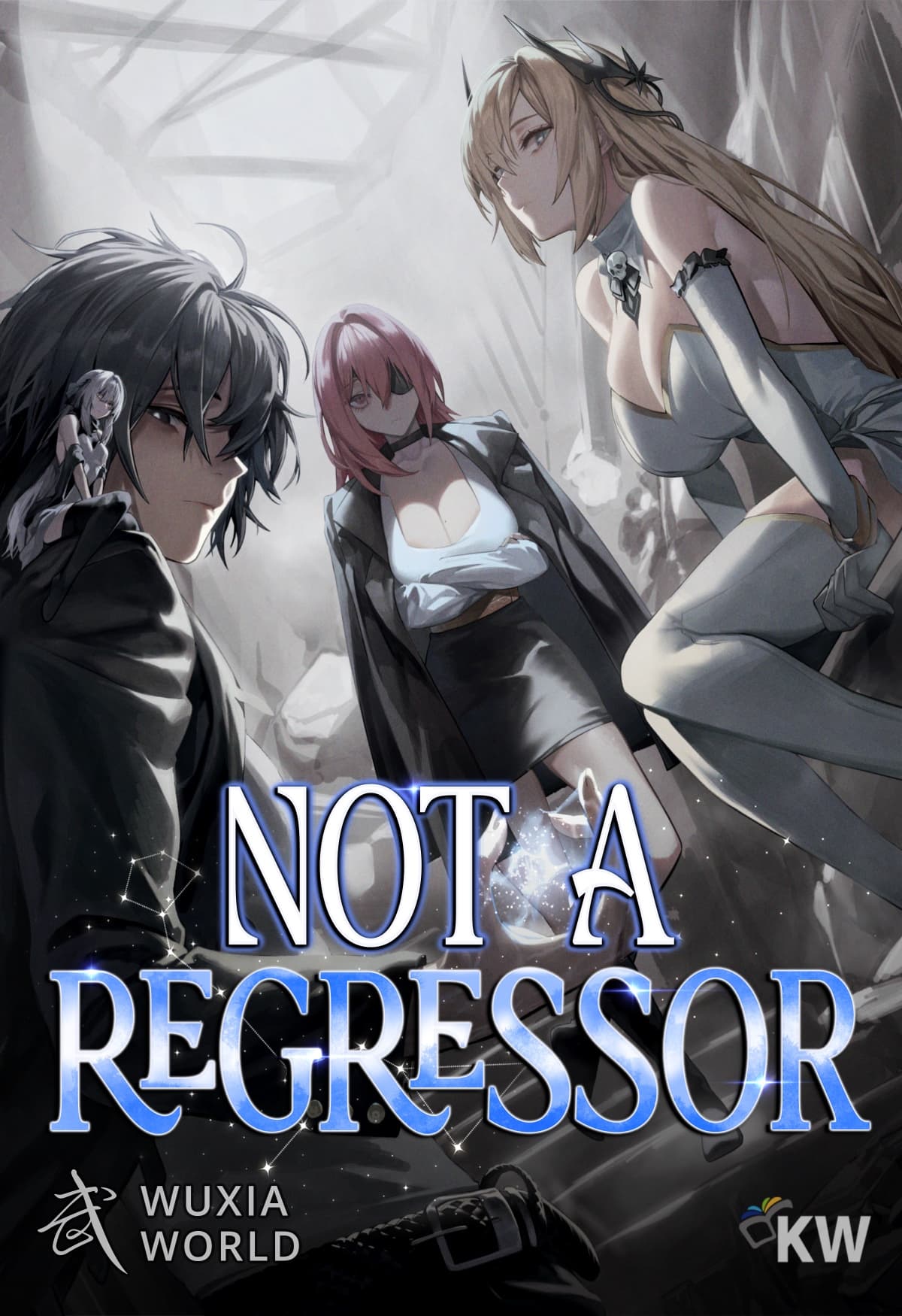 Couverture de Not A Regressor