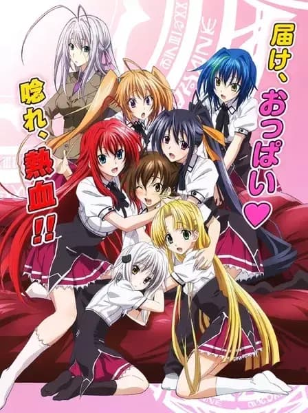 Couverture de High School DxD