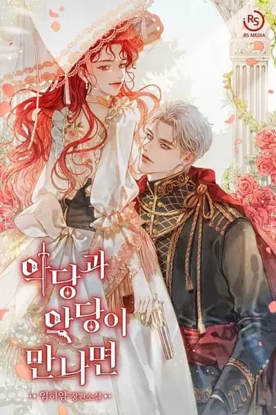Couverture de When A Villain Meets A Villain