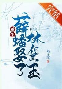 Couverture de The Rebirth of the Red Chamber Xue Pan married Lin Daiyu